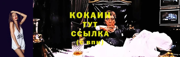 ПСИЛОЦИБИНОВЫЕ ГРИБЫ Абаза