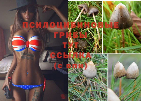 марки lsd Абинск