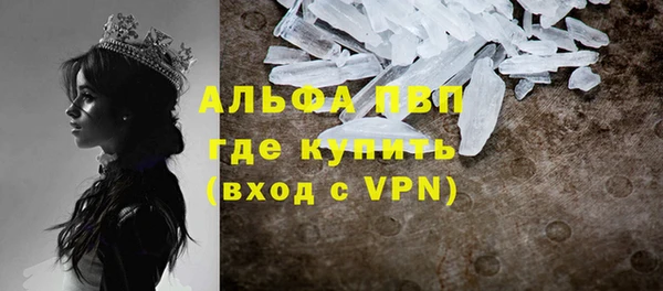 ПСИЛОЦИБИНОВЫЕ ГРИБЫ Абаза