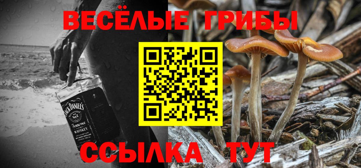 что такое   Галлюциногенные грибы мицелий  Вход с VPN  Шали 